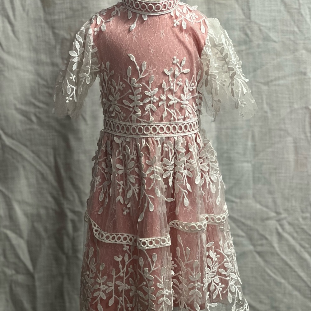 Ivy City Co Pink and White Lace Formal Dress